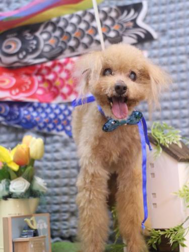 20230514モカくん